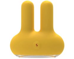 Leten Güçlü Titreşimli İki Uçlu Mini Vibratör & Masaj Aleti