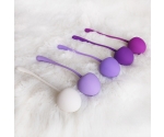Cherry 5 Farklı Ağırlığa Sahip Kegel Egzersiz Seti Cherry 5 Farklı Ağırlığa Sahip Kegel Egzersiz Seti
