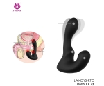 Landys-Rct Kumandalı Dalga Hareketli 9 Titreşim Modlu Prostat Vibratör Landys-Rct Kumandalı Dalga Hareketli 9 Titreşim Modlu Prostat Vibratör