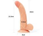Lovetoy Ingen Easy Strap On 21 Cm Belden Bağlamalı Realistik Penis Seti