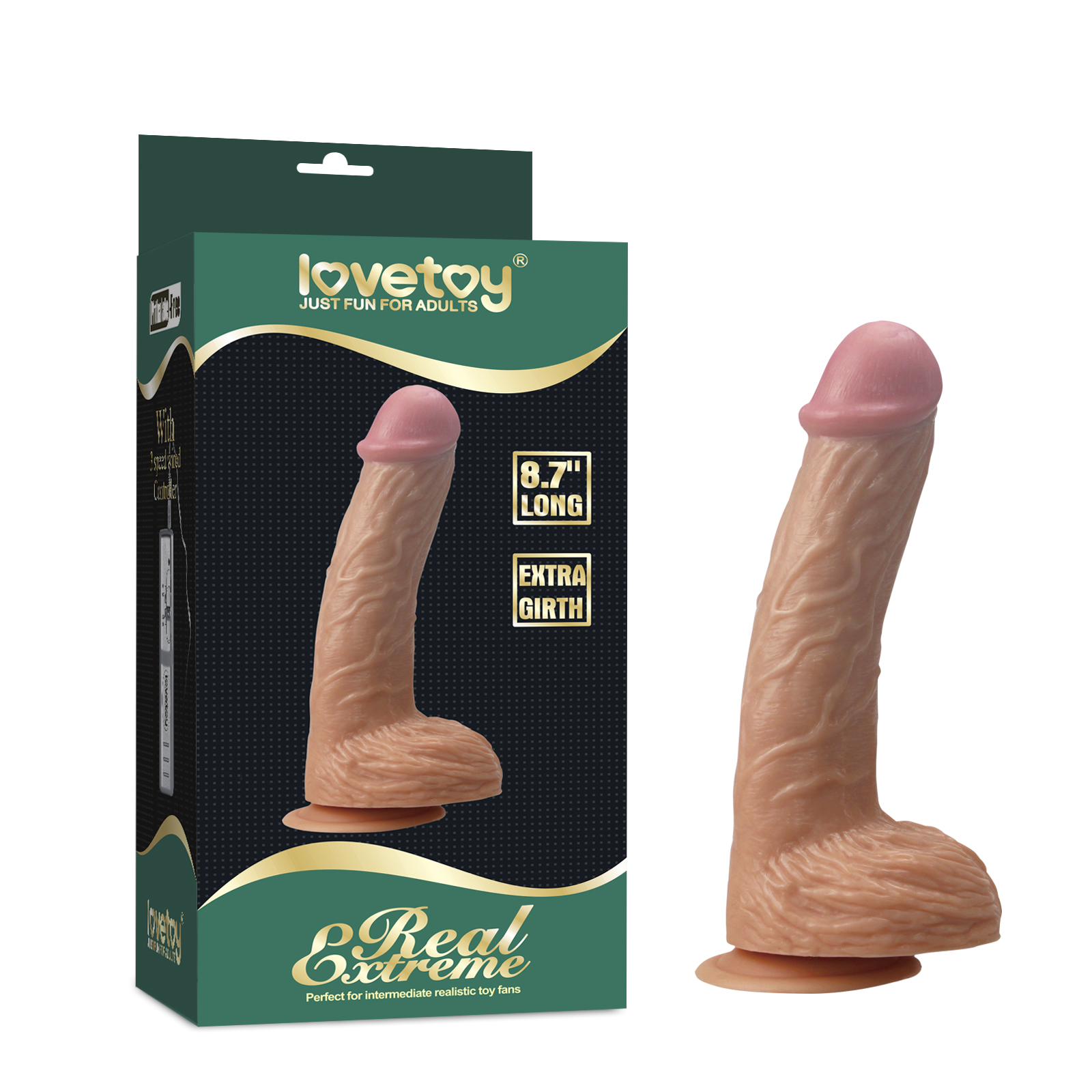 LV6202-1 (4) - Kopya