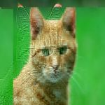 .php